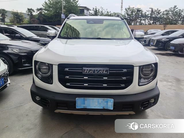 Haval Big dog id 3908416 из Китая 7