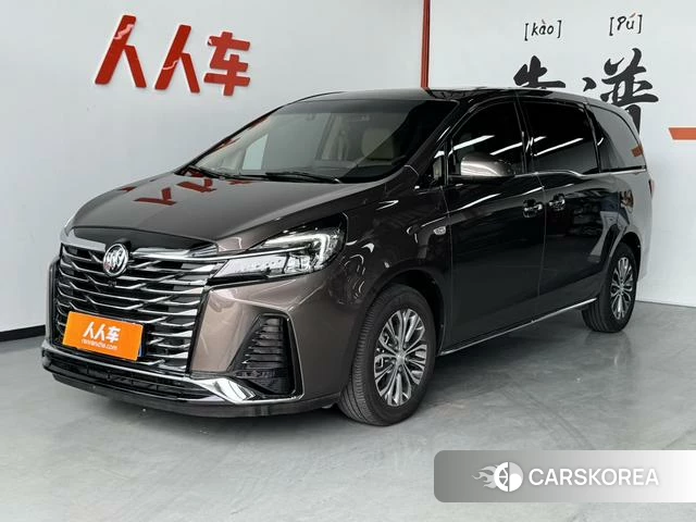 Buick GL8 id 4222393 из Китая 14