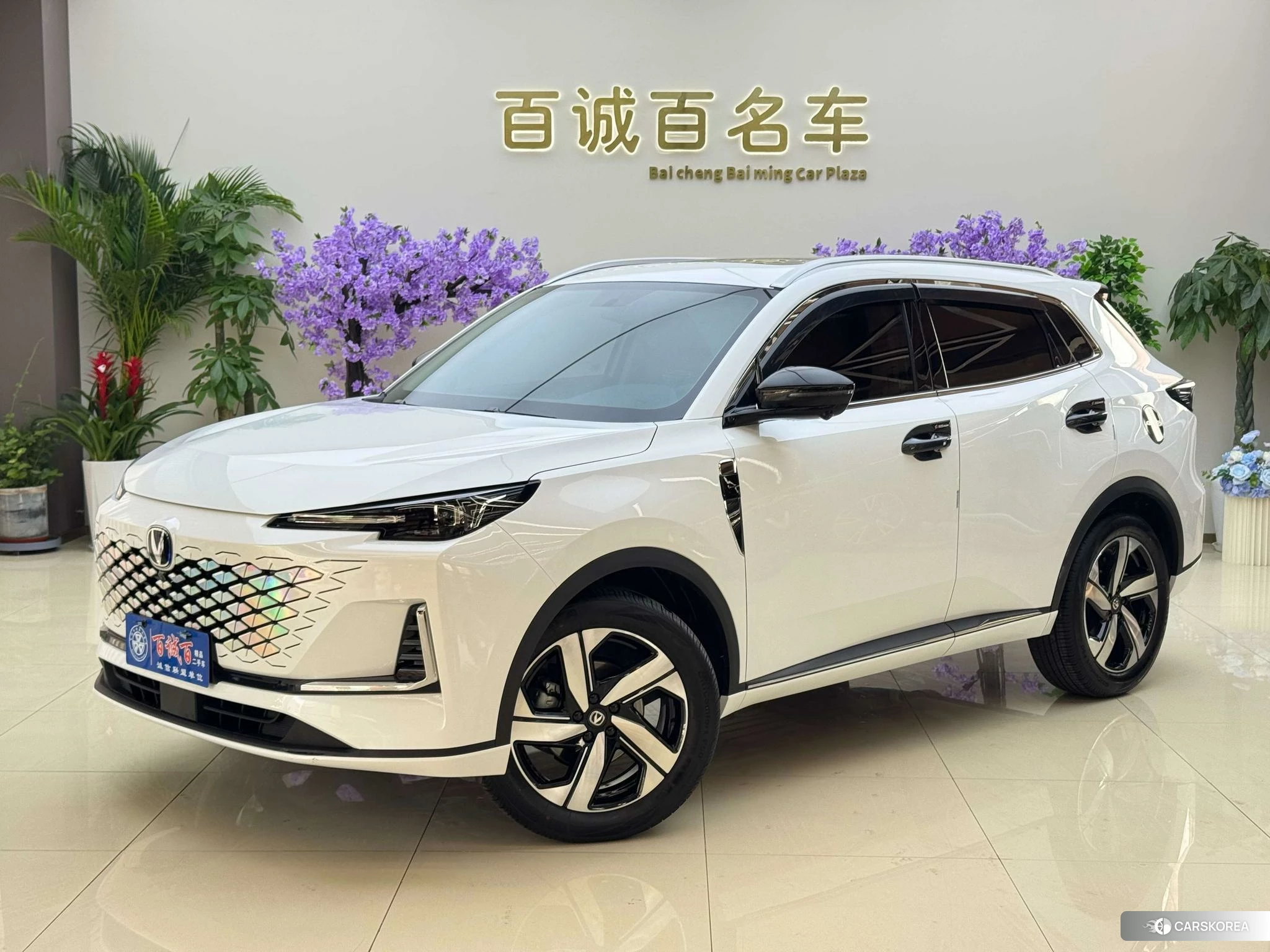Chang'an CS55 PLUS id 4420223 из Китая 14