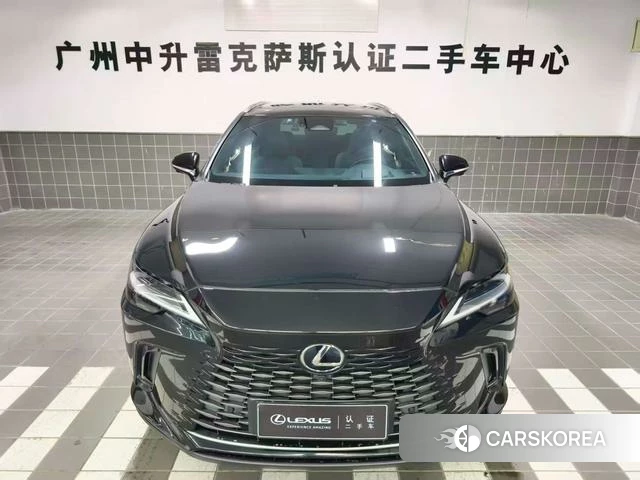 Lexus RX PHEV id 4261514 из Китая 20
