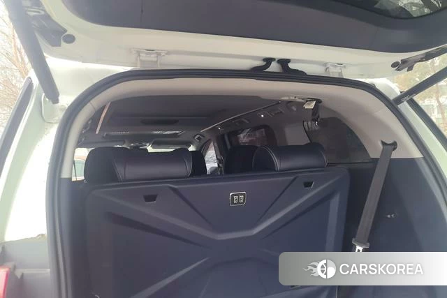 GAC Trumpchi Trumpchi M8 id 4207953 из Китая 14
