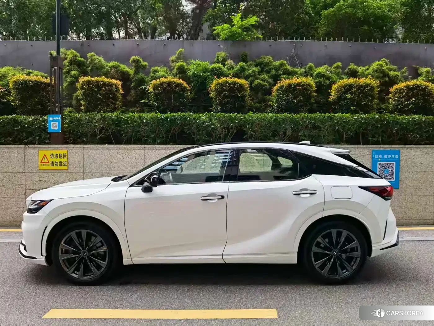 Lexus RX id 4538646 из Китая 7