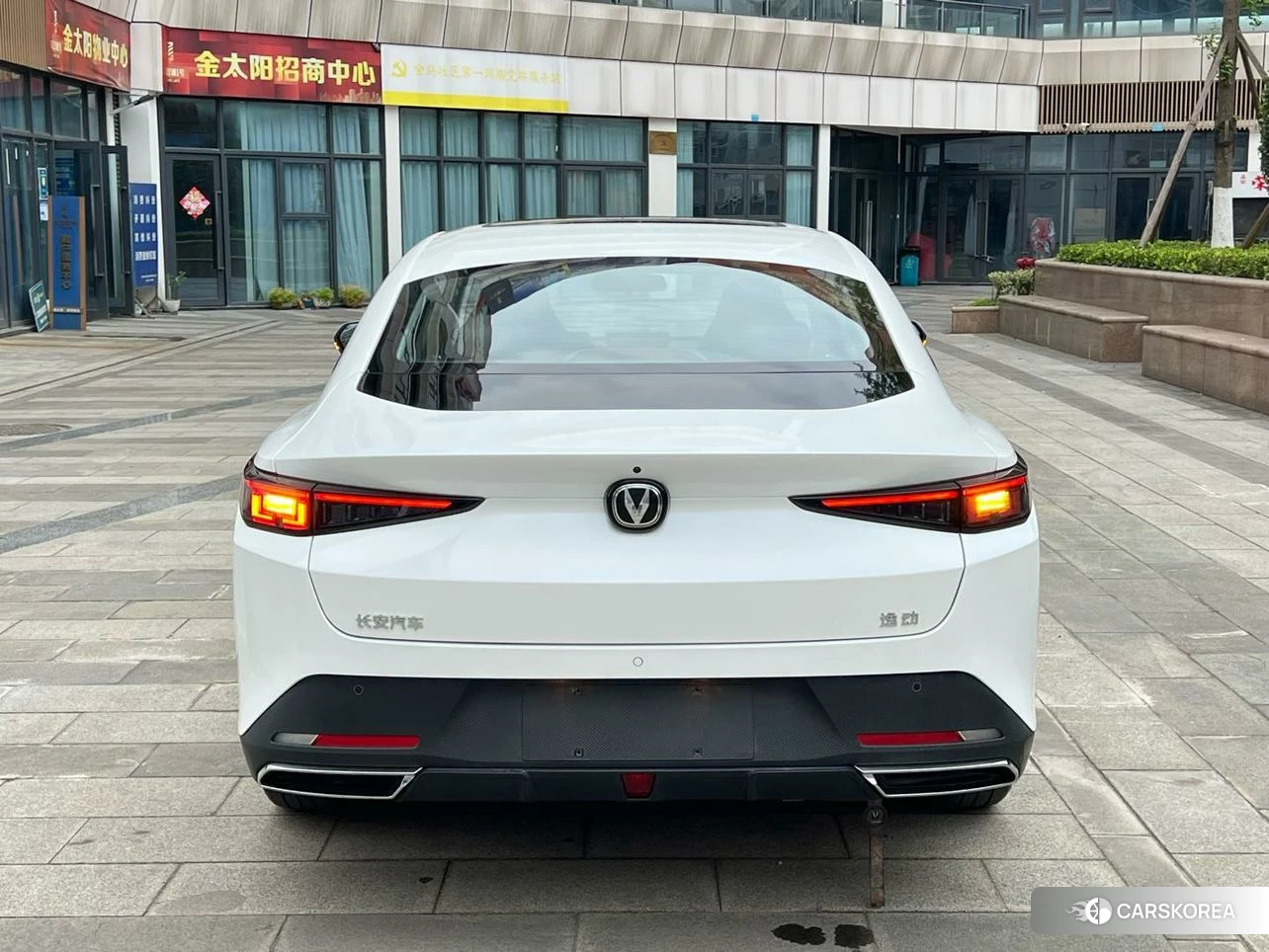 Chang'an Yidong id 4499062 из Китая 8