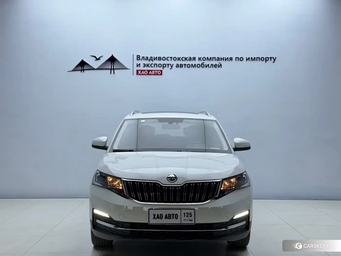 Skoda Kamiq id 4629113 из Китая 13