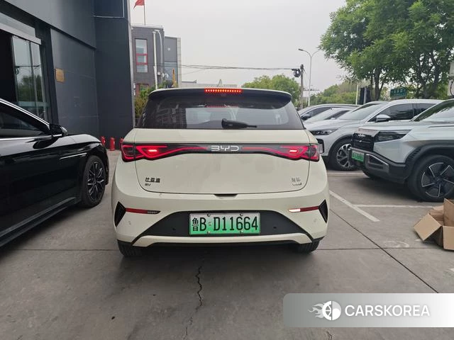 BYD dolphin id 4205755 из Китая 14