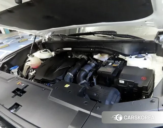 Hyundai Santa Fe (MX5) id 3462518 из Кореи 17