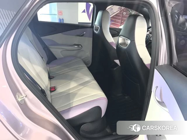 BYD dolphin id 4241378 из Китая 14
