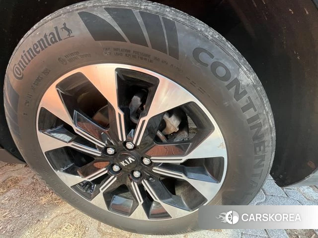 Kia Carnival 4th generation id 3800701 из Кореи 16