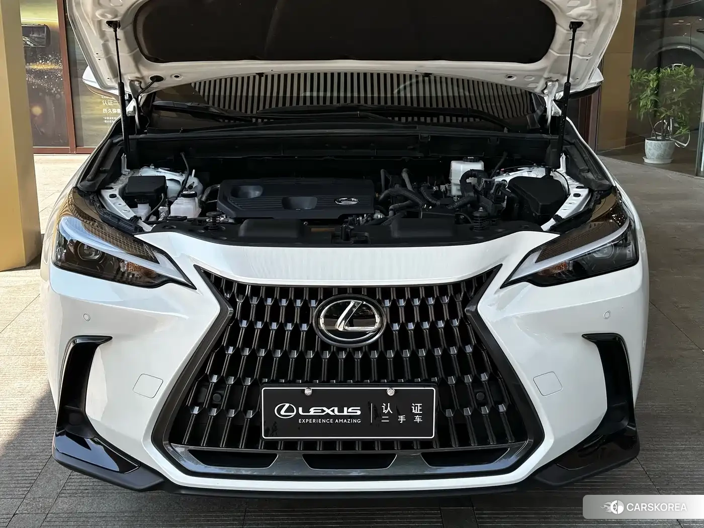 Lexus NX id 4628006 из Китая 7