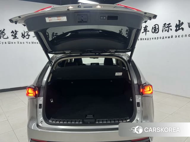 Lexus NX id 4277219 из Китая 22