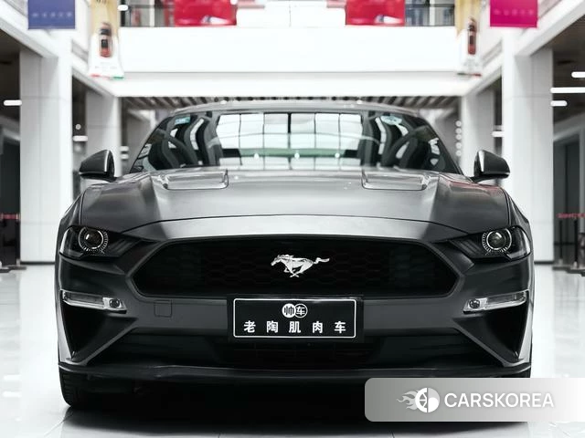 Ford Mustang id 4387327 из Китая 7