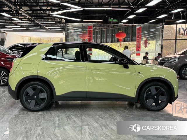 firefly firefly Unknown id 3983286 из Китая 12