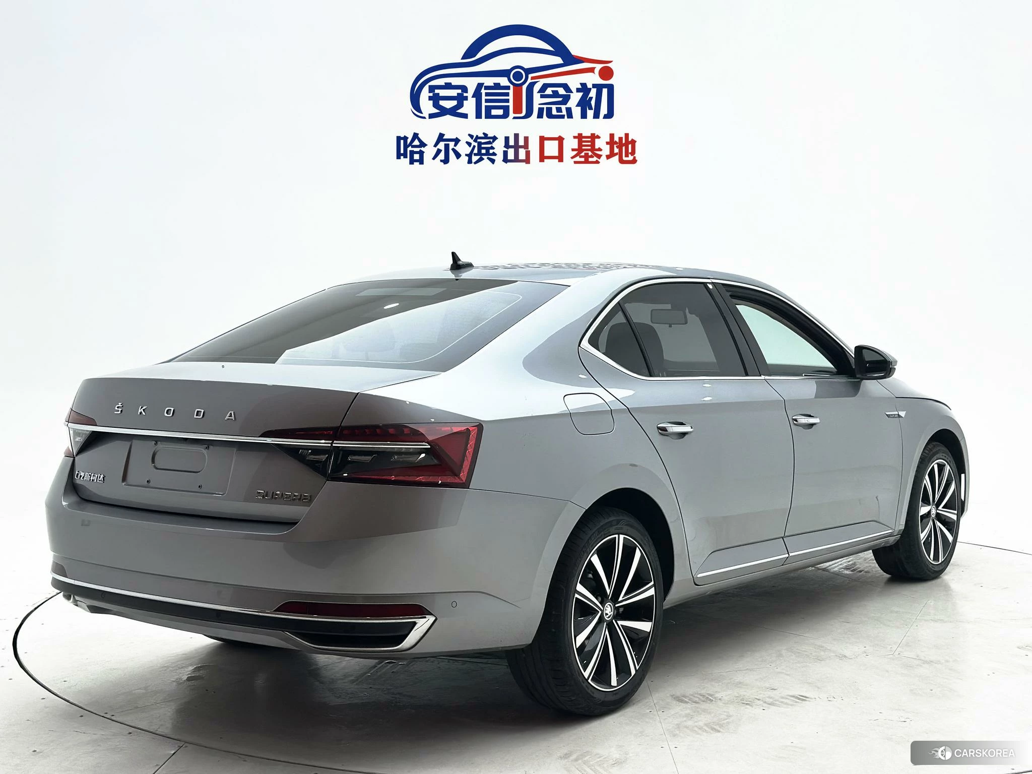 Skoda Speed pie id 4510555 из Китая 21
