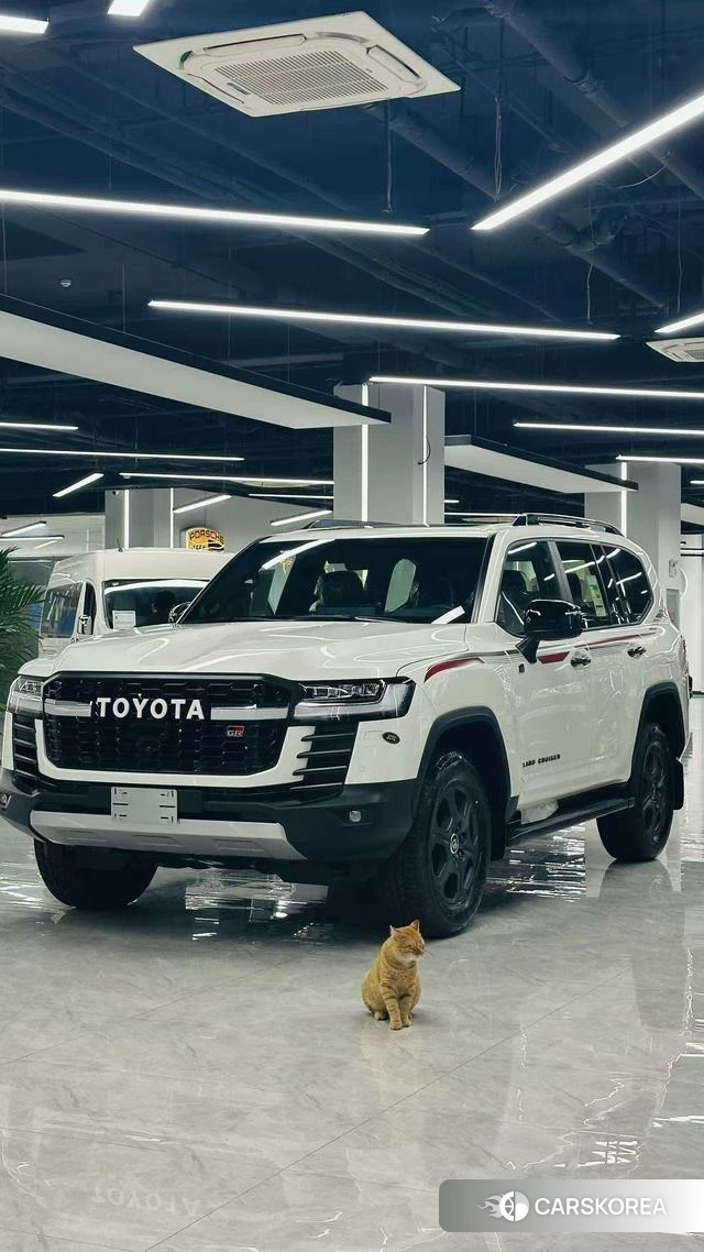 Toyota Land Cruiser (imported) id 4271219 из Китая 7