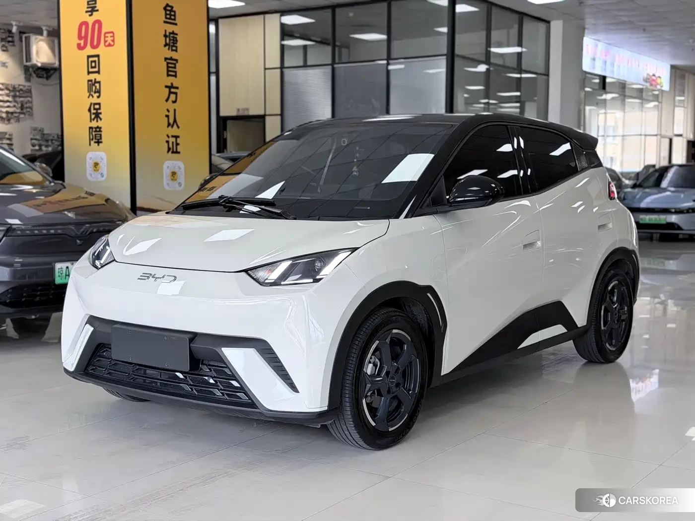 BYD Seagull id 4548278 из Китая 10