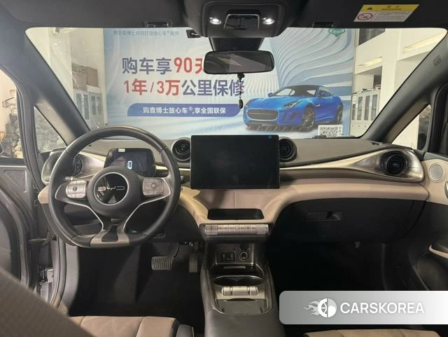 BYD dolphin id 3908748 из Китая 7