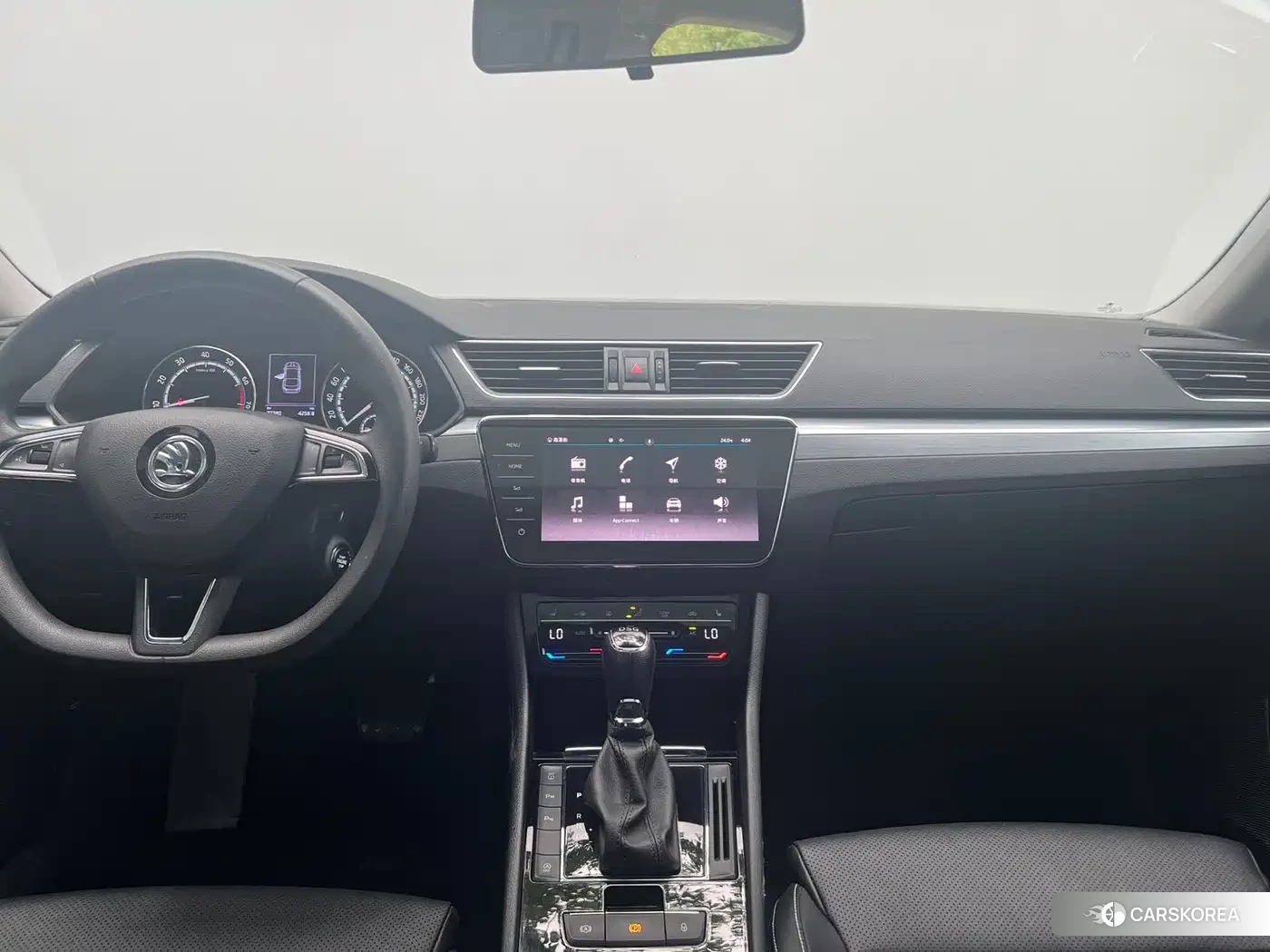 Skoda Speed pie id 4576410 из Китая 7