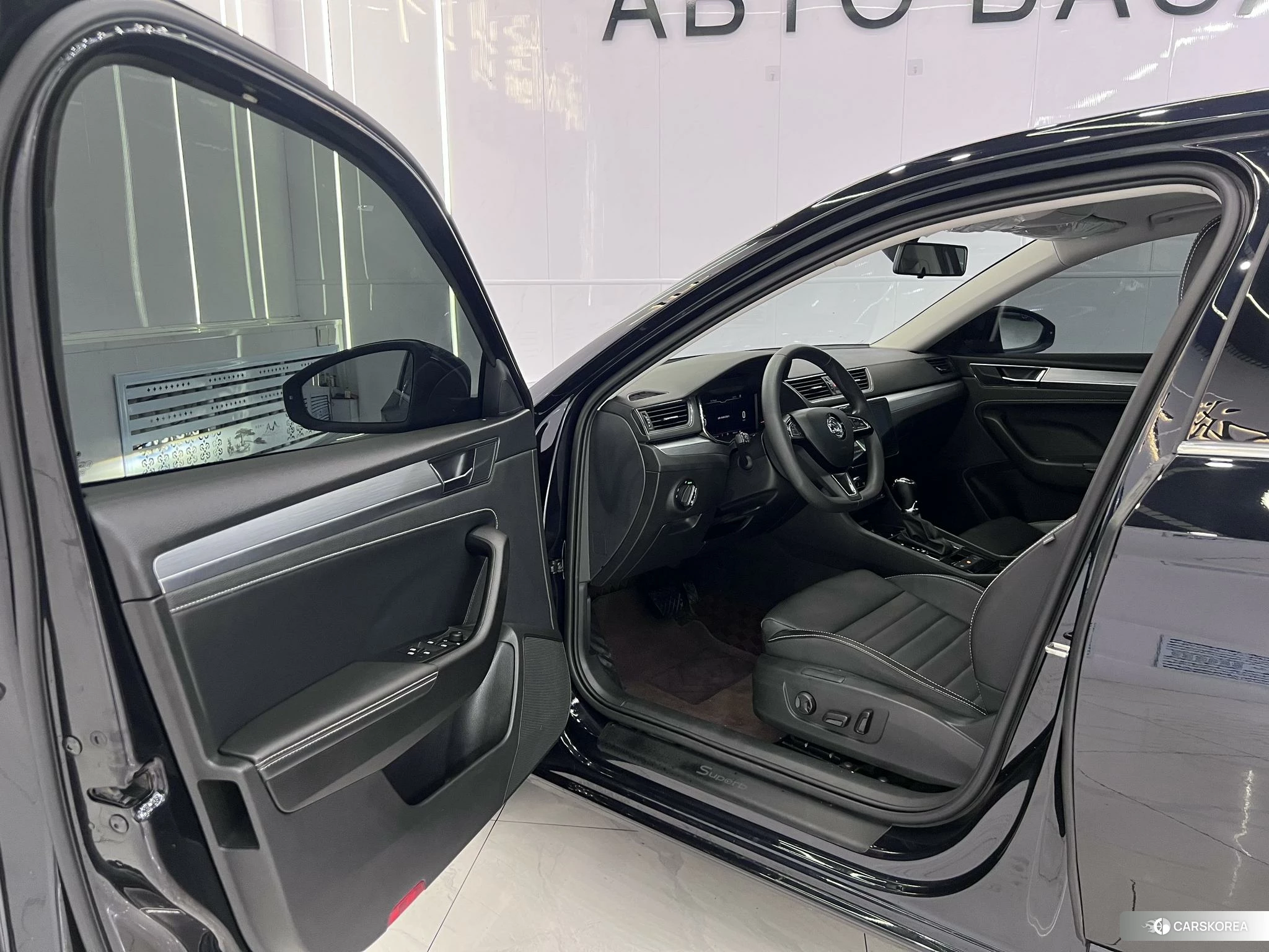 Skoda Speed pie id 4461304 из Китая 19