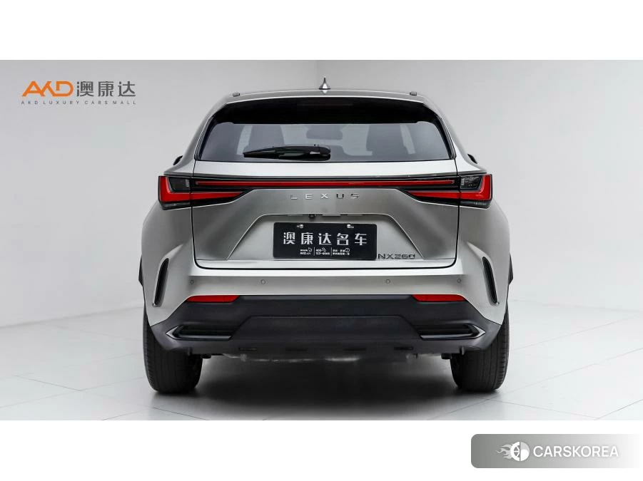 Lexus NX id 4513987 из Китая 7