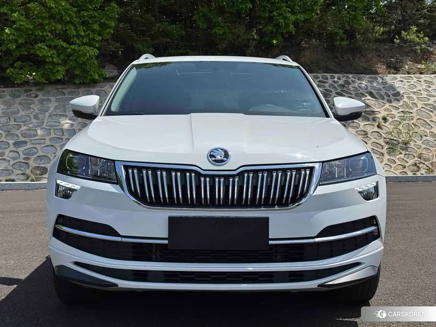 Skoda Krok id 4565106 из Китая 19
