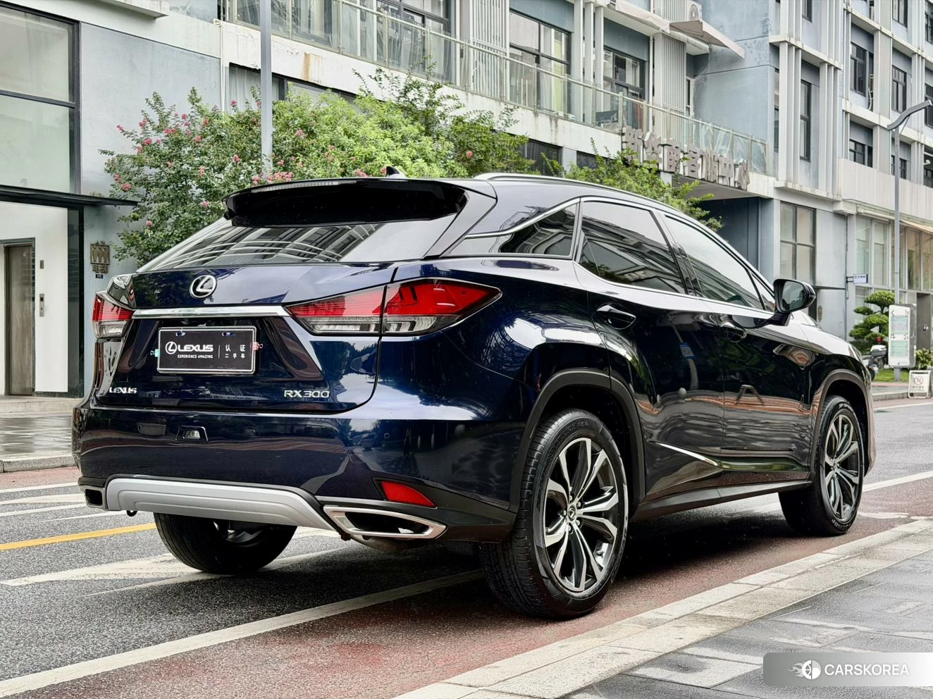 Lexus RX id 4413251 из Китая 18