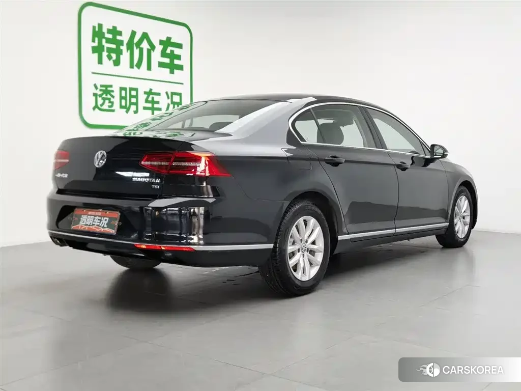 Volkswagen Magotan id 4548110 из Китая 21