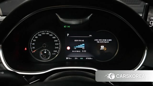 Genesis G80 (RG3) id 4740507 из Кореи 32