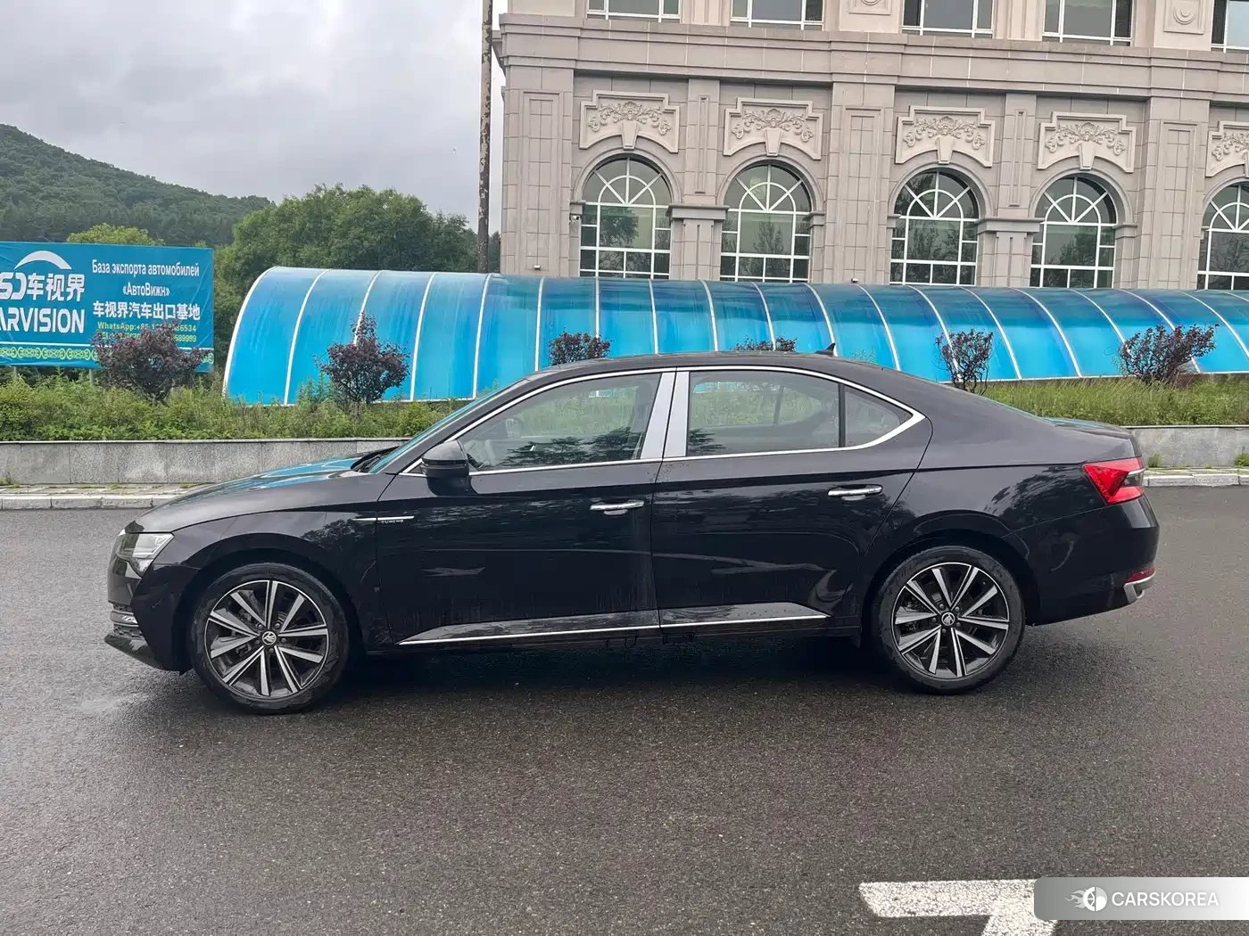 Skoda Speed pie id 4538584 из Китая 12