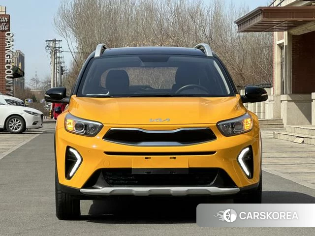 Kia Yi Ran id 4208908 из Китая 27