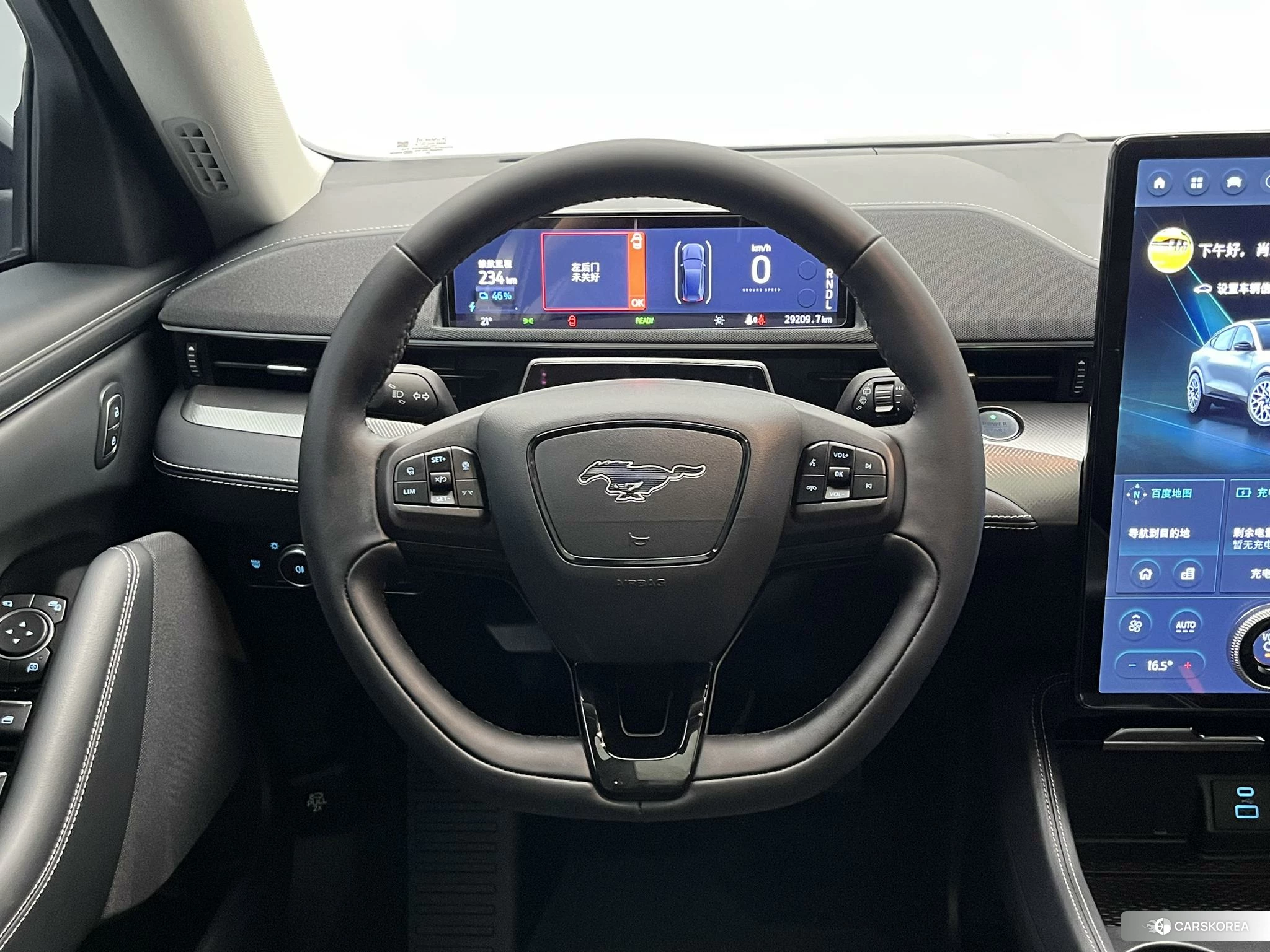 Ford Electric horse id 4461393 из Китая 17