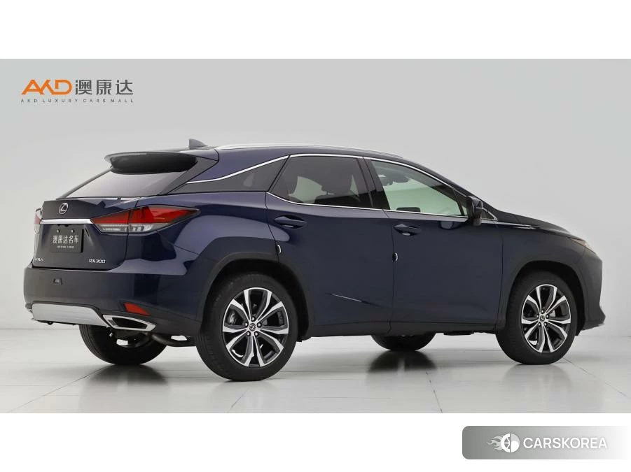 Lexus RX id 4454473 из Китая 7