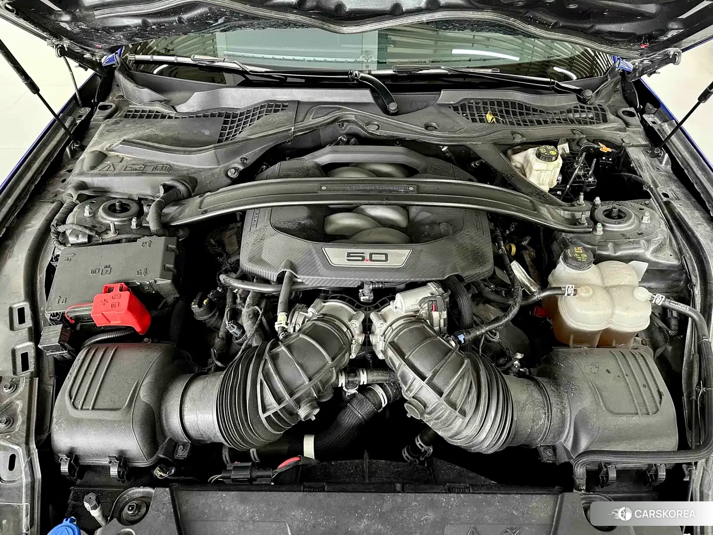 Ford Mustang id 4539283 из Китая 11