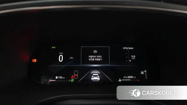 Renault Korea (Samsung) XM3 id 4613398 из Кореи 27