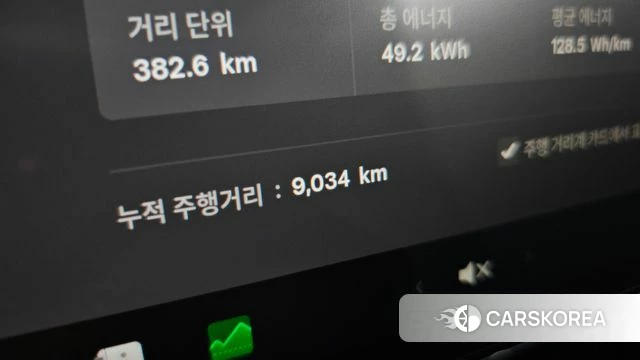 Tesla Model Y id 4456004 из Кореи 30