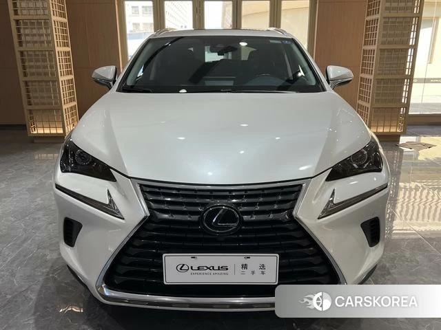 Lexus NX id 4276272 из Китая 16