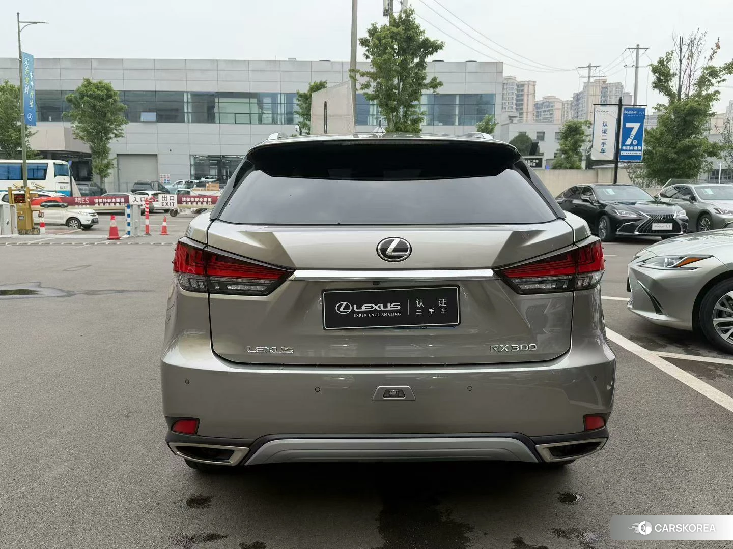 Lexus RX id 4454182 из Китая 7