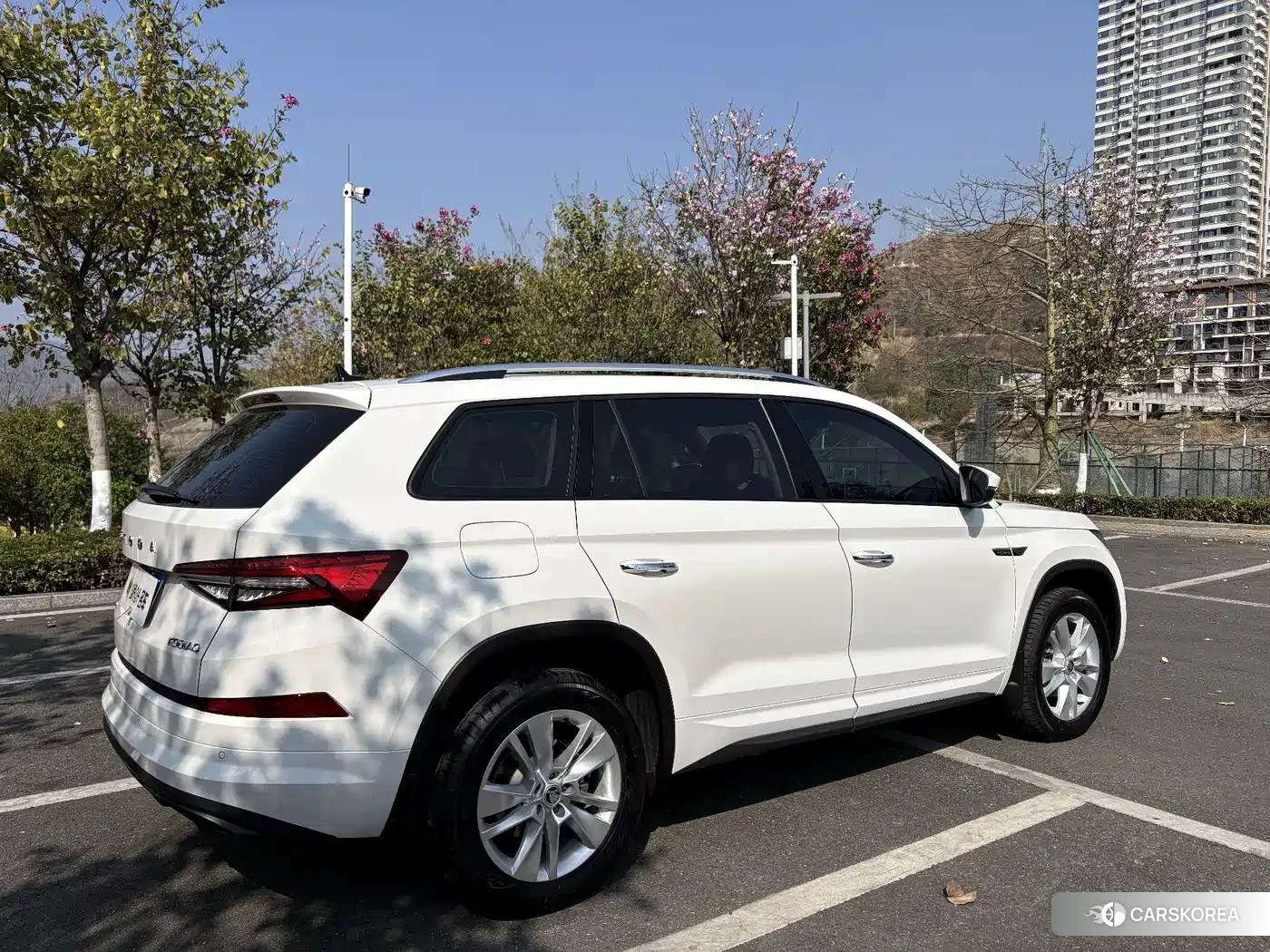 Skoda Kodiak id 4545945 из Китая 13