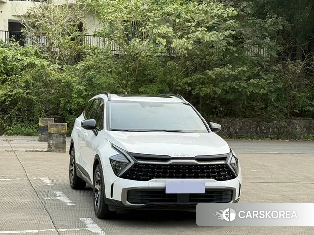 Kia Lion Platinum expands the world id 4393318 из Китая 7