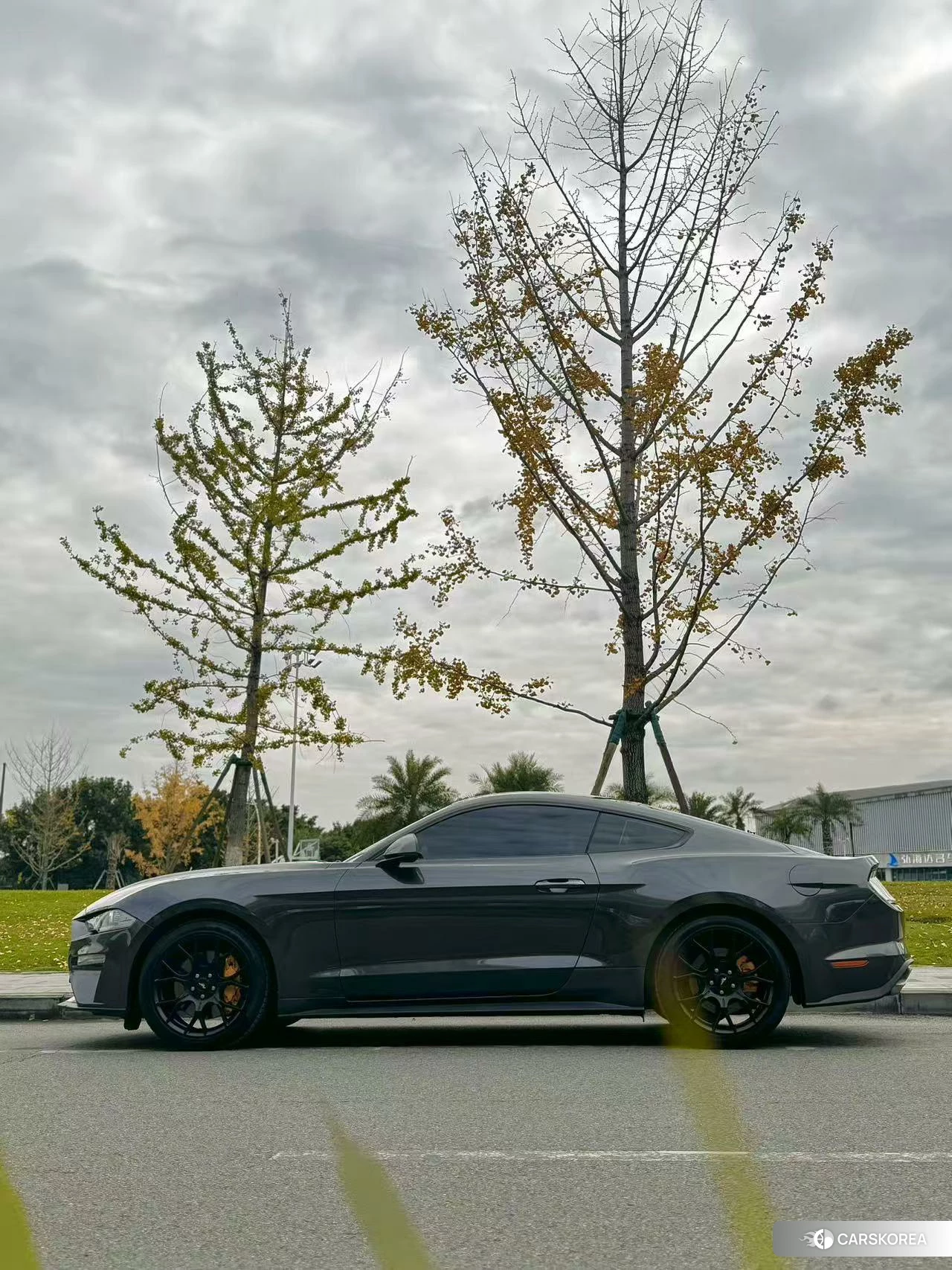 Ford Mustang id 4419155 из Китая 7