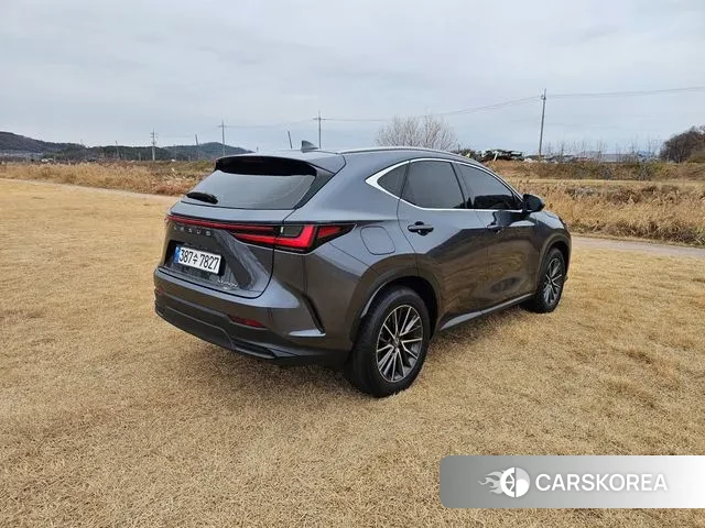 Lexus NX450h + 2nd generation id 3476581 из Кореи 17