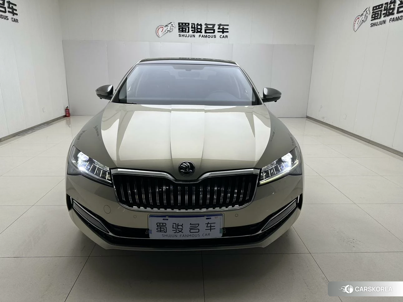 Skoda Speed pie id 4420812 из Китая 16