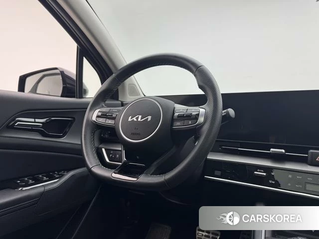 Kia Lion Platinum expands the world id 4259377 из Китая 25