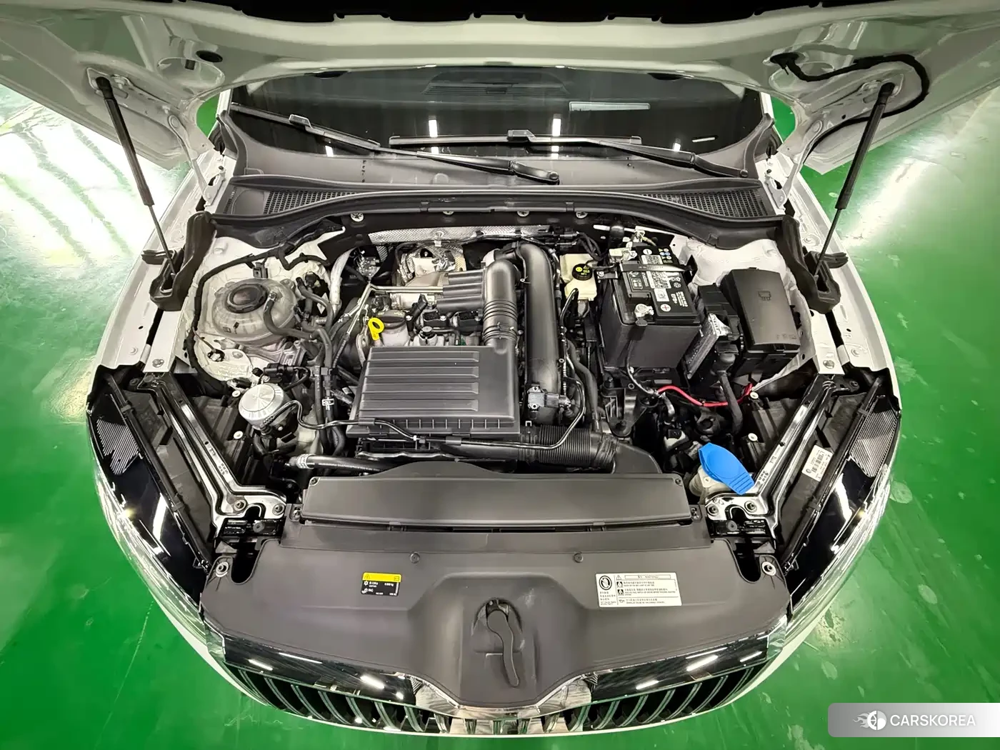 Skoda Speed pie id 4577707 из Китая 21