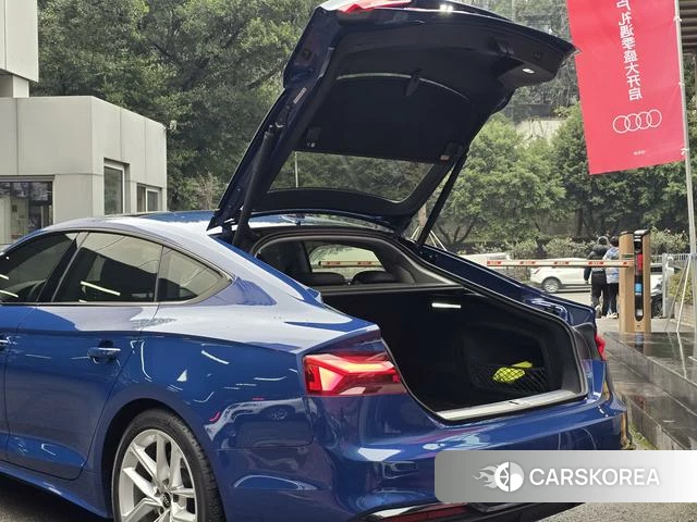 Audi A5 id 4260410 из Китая 21