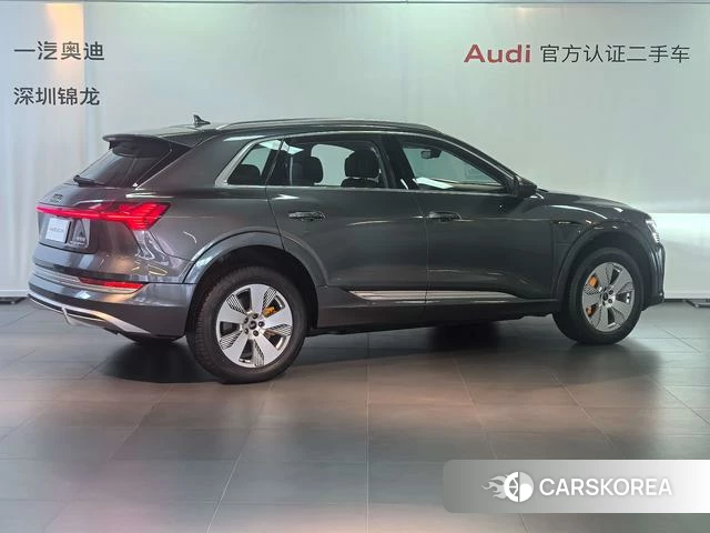 Audi e-tron id 4262587 из Китая 10