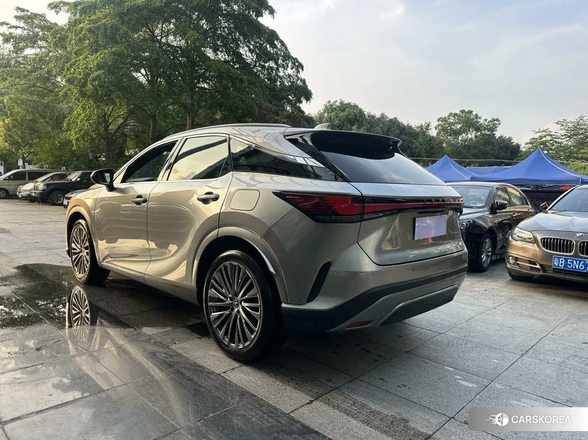 Lexus RX id 4510863 из Китая 7