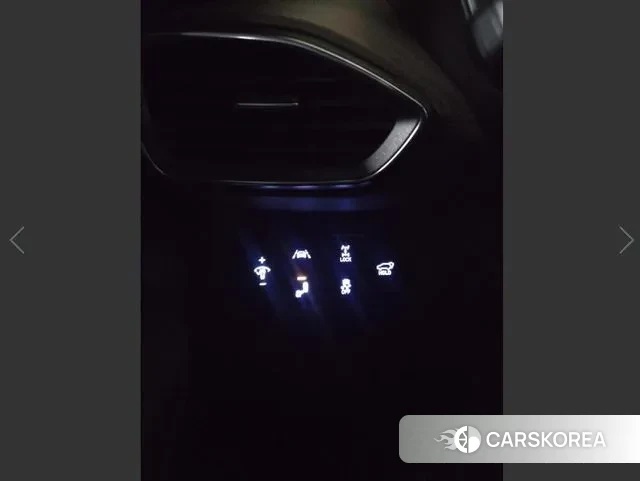 Hyundai Santa Fe TM id 3484681 из Кореи 7