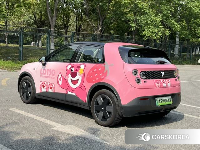 firefly firefly Unknown id 3993377 из Китая 21