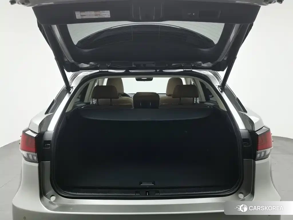 Lexus RX id 4629632 из Китая 21