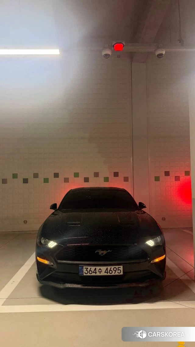 Ford Mustang id 4490805 из Кореи 8